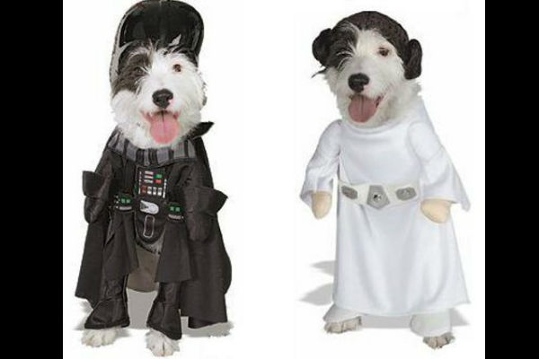 Los mejores disfraces de Halloween para tu perro