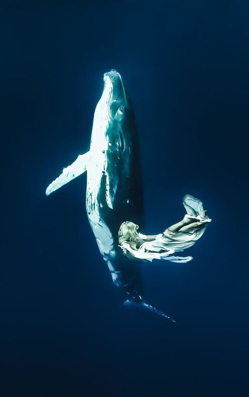 Nuevas fotos de la sirena de la vida real Hannah Fraser “bailando” con ballenas