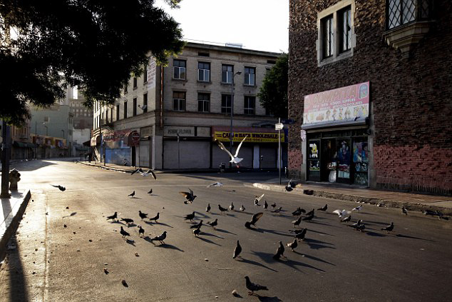 Vida real en la favela de Los Angeles de EE.UU.