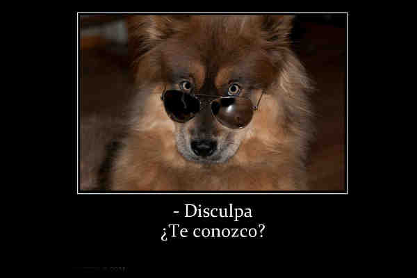 “¿Te conozco de algún lado?” La respuesta es más que obvia y, seguramente, no será la que esperas. “¿Te conozco de algún lado?” La respuesta es más que obvia y, seguramente, no será la que esperas.