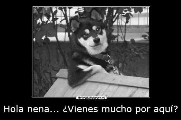 “¿Vienes mucho por aquí?” Esta pregunta más una “cara de interesante” no harán nada más que alejarlas de ti. “¿Vienes mucho por aquí?” Esta pregunta más una “cara de interesante” no harán nada más que alejarlas de ti.