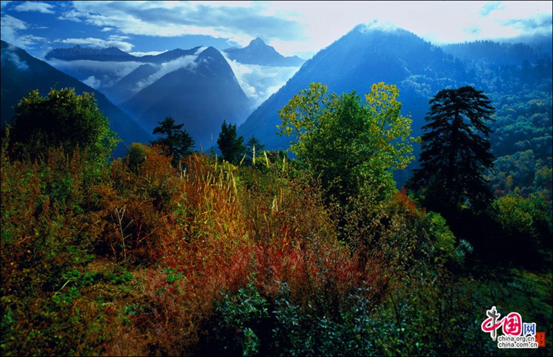 Glamorosos paisajes otoñales de Jiuzhaigou , patrimonio de la humanidad6