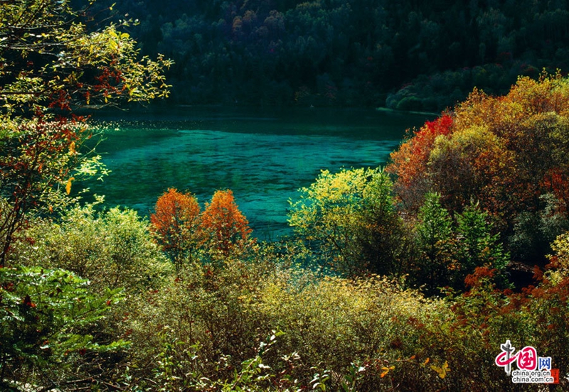 Glamorosos paisajes otoñales de Jiuzhaigou , patrimonio de la humanidad8