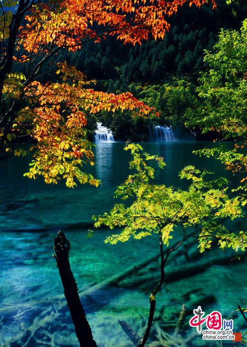 Glamorosos paisajes otoñales de Jiuzhaigou , patrimonio de la humanidad9