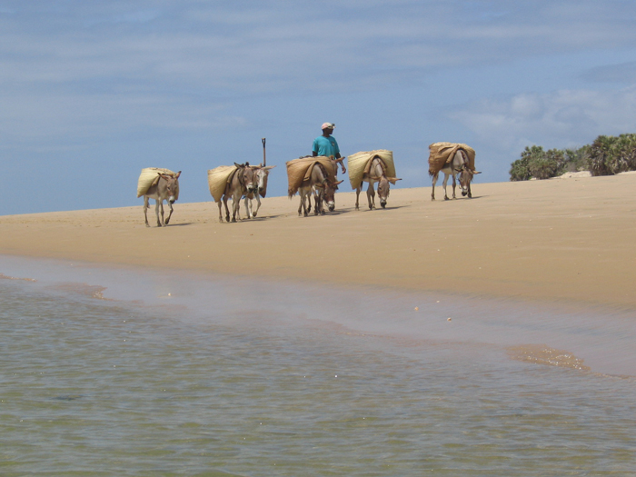 Lamu,paraíso africano 9