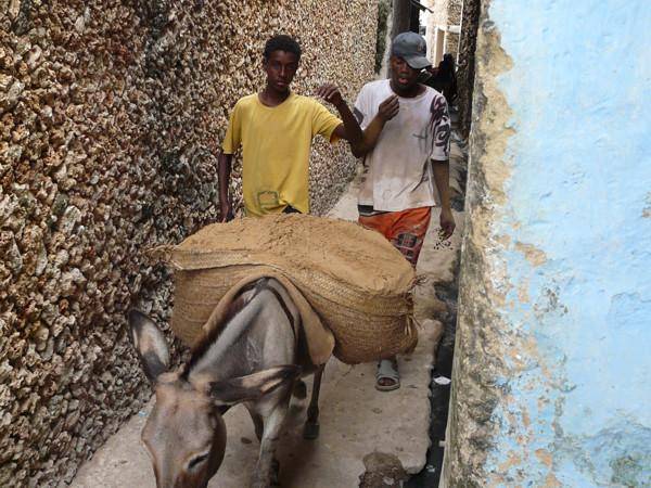 Lamu,paraíso africano 4