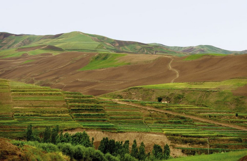  Vida real del pueblo afgano después de la guerra