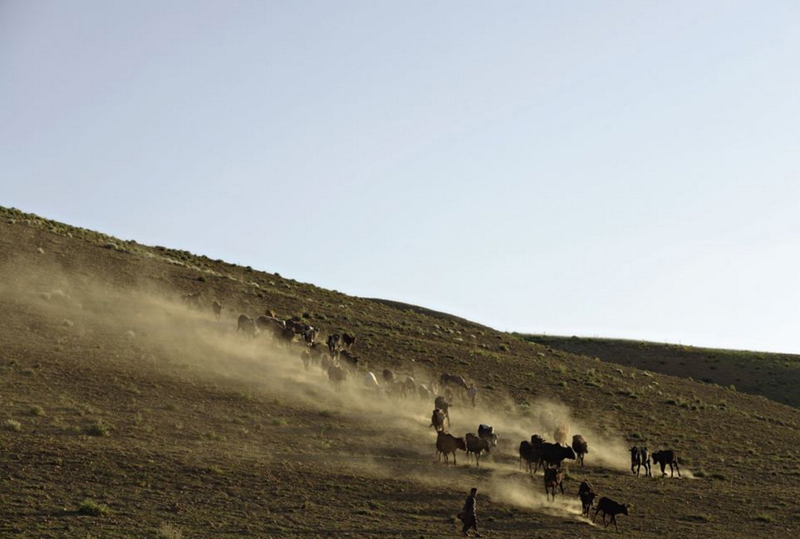  Vida real del pueblo afgano después de la guerra