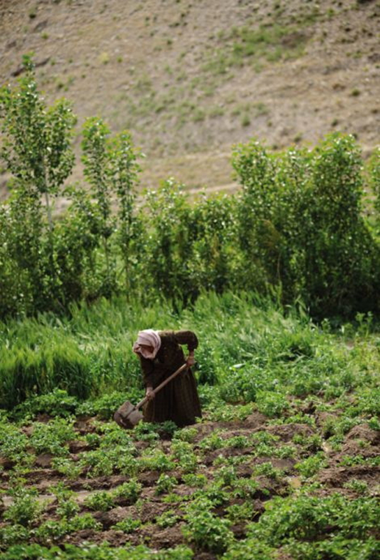  Vida real del pueblo afgano después de la guerra