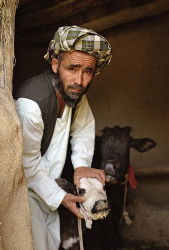  Vida real del pueblo afgano después de la guerra