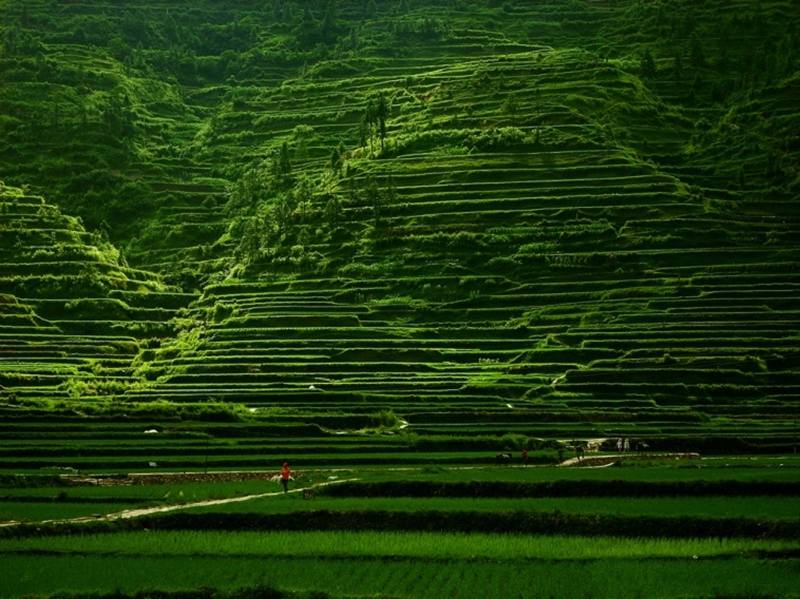 Magnífico paisaje del pueblo Xijiang en la provincia Guizhou de China6