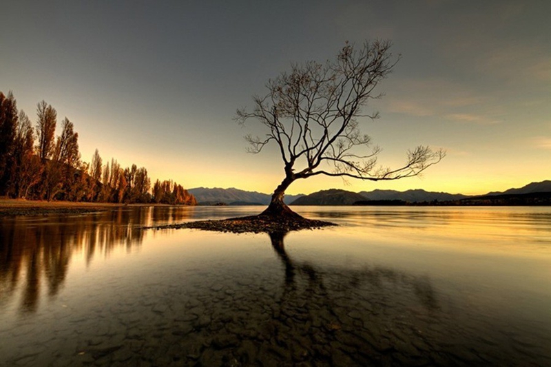 Un momento de tranquilidad, gran regalo de la naturaleza16