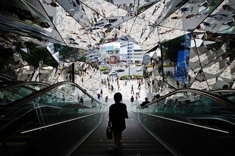 Las mejores fotos del concurso de National Geographic 2013 