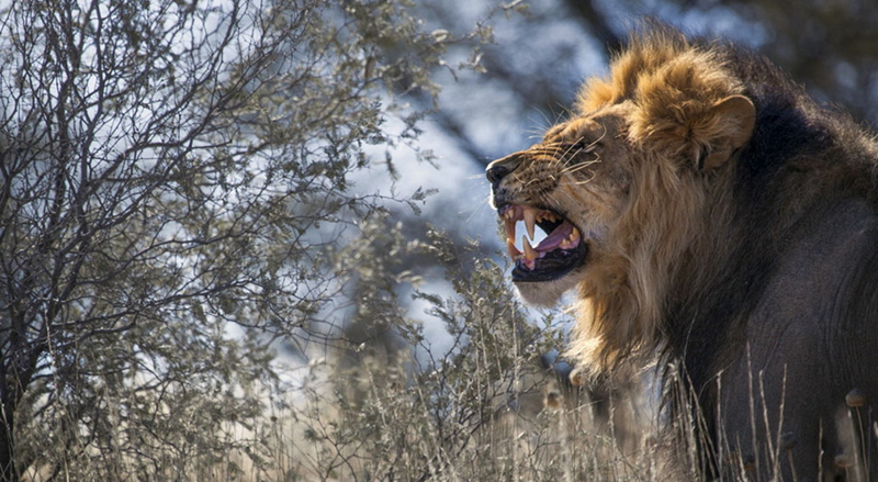 Las mejores fotos del concurso de National Geographic 2013 (II)