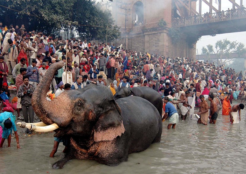 Ganges de la India, río más contaminado del mundo