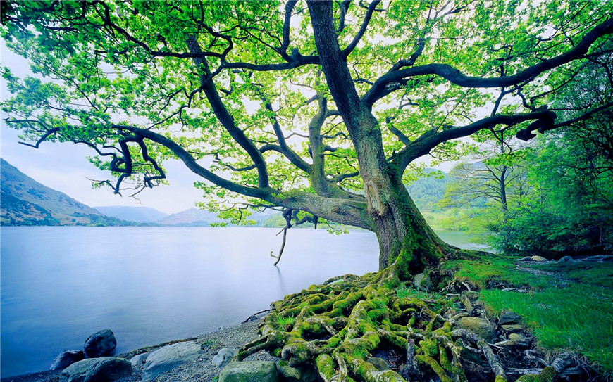 Paisajes pintorescos que no solo existen en postales