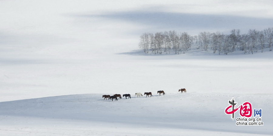 Imágenes magníficas de caballos en el campo de nieve por el fotógrafo chino Li Gang1