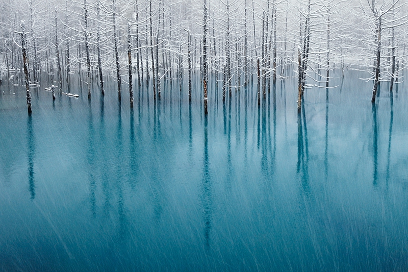 Las mejores imágenes invernales del mundo por maestros fotográficos10