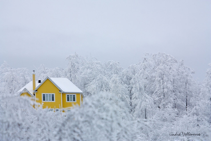 Las mejores imágenes invernales del mundo por maestros fotográficos18