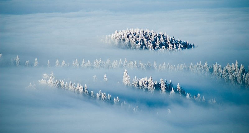 Las mejores imágenes invernales del mundo por maestros fotográficos37