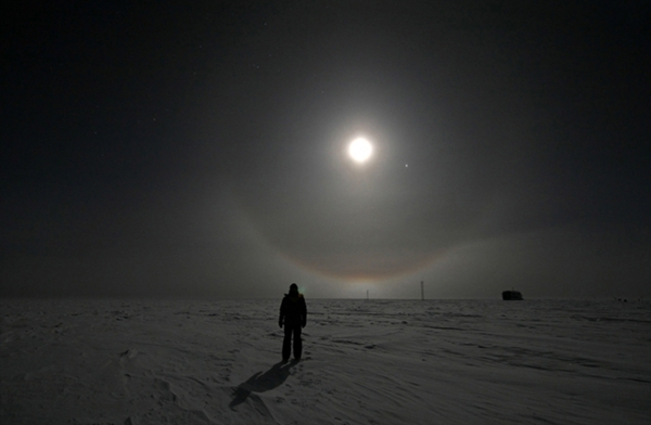 Explora el misterioso mundo antártico18