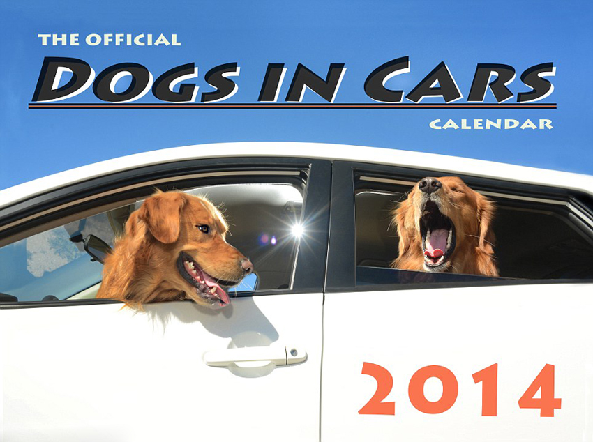 Calendario 'Dogs in the Cars' para 2014 11