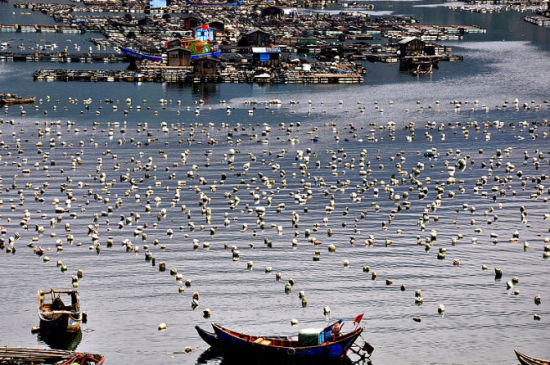 Paraísos perdidos en China: Qida, el pueblo de pescadores 6