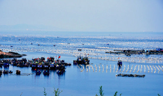 Paraísos perdidos en China: Qida, el pueblo de pescadores 11