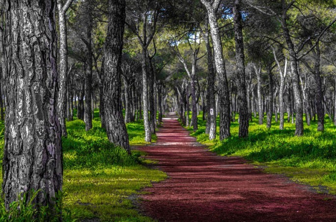 Los paisaje de ensueño más bellos de la Tierra132