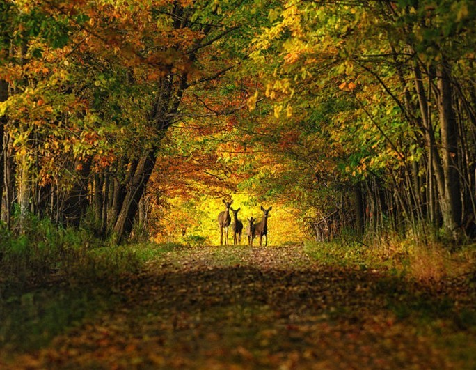 Los paisaje de ensueño más bellos de la Tierra24