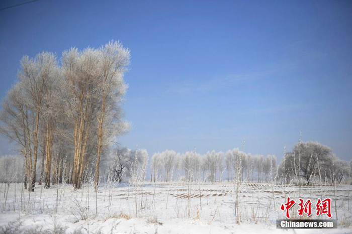 La belleza de cencellada dura en la ciudad china Jilin 5