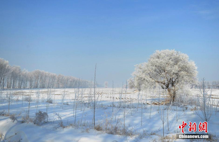 La belleza de cencellada dura en la ciudad china Jilin 33