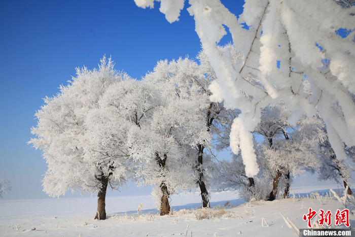 La belleza de cencellada dura en la ciudad china Jilin 2