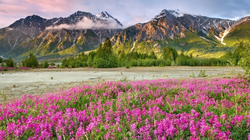 Magníficas fotografías de paisajes en la Tierra divina29