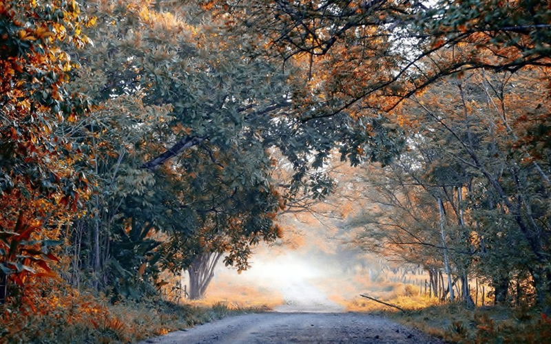 Magníficas fotografías de paisajes en la Tierra divina35