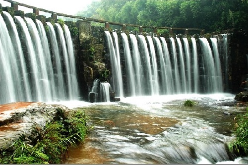 Paisajes hermosos en el parque de bambú 22