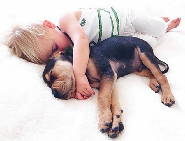 Amistad entre el cachorro Theo y su dueñito Beau