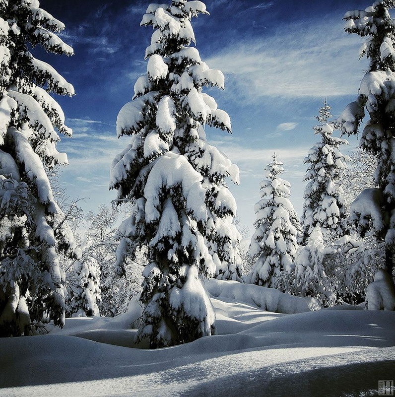 Imágenes fantásticas de invierno como paraíso en todo el mundo