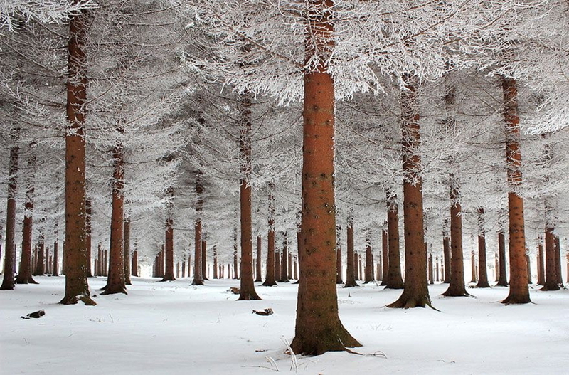 Imágenes fantásticas de invierno como paraíso en todo el mundo