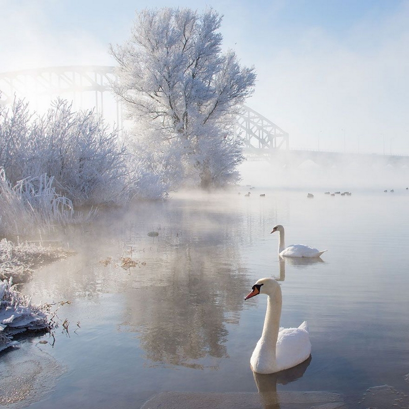 Imágenes fantásticas de invierno como paraíso en todo el mundo