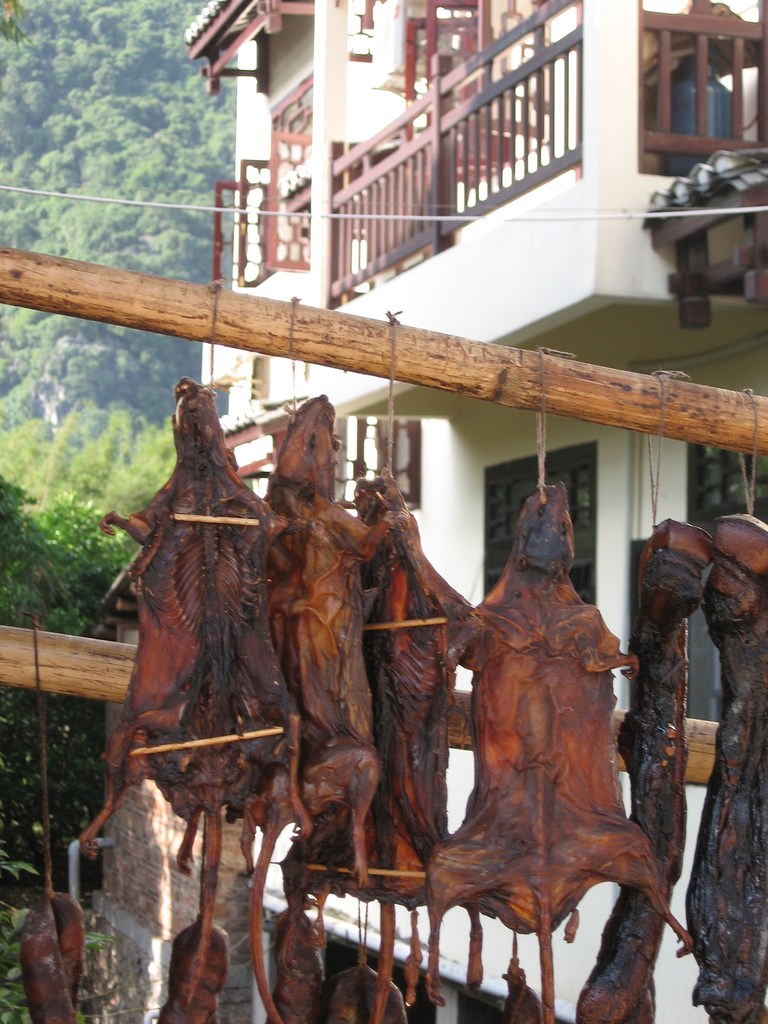 Comida tradicional horrible de Vietnam: ¡carne de rata!