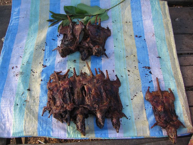 Comida tradicional horrible de Vietnam: ¡carne de rata!