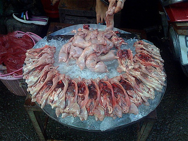 Comida tradicional horrible de Vietnam: ¡carne de rata!