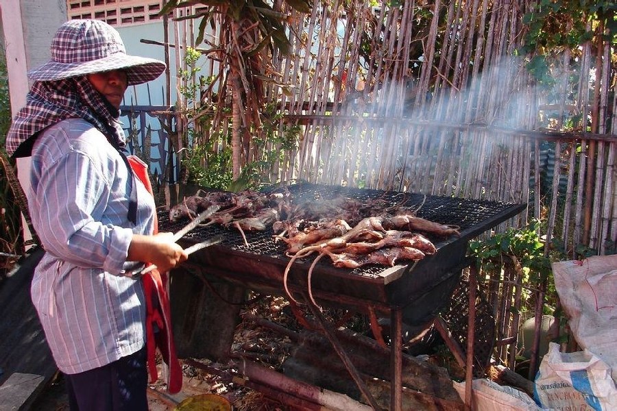 Comida tradicional horrible de Vietnam: ¡carne de rata!