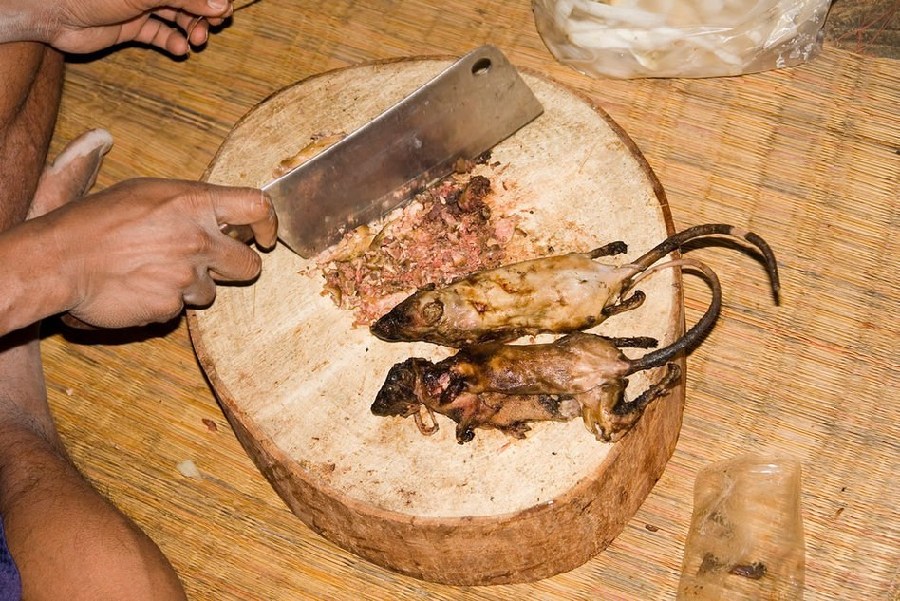 Comida tradicional horrible de Vietnam: ¡carne de rata!