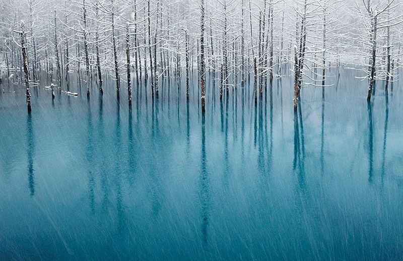 Fascinantes paisajes invernales convierte a la Tierra en un mundo de ensueño3