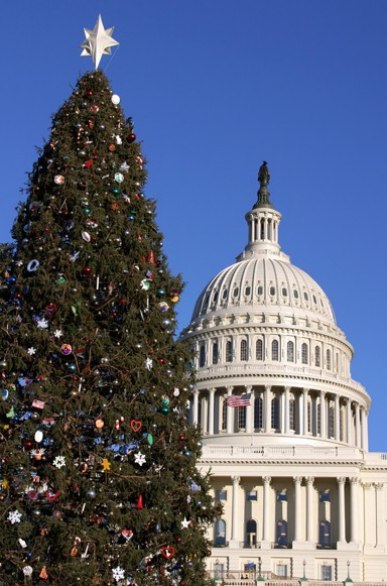  Árboles de Navidad más fantásticos del mundo