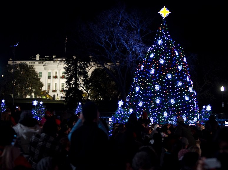  Árboles de Navidad más fantásticos del mundo