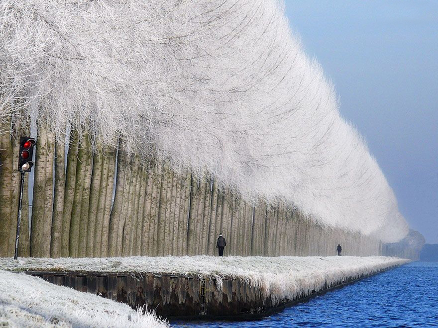 Los paisajes fantásticos en el invierno