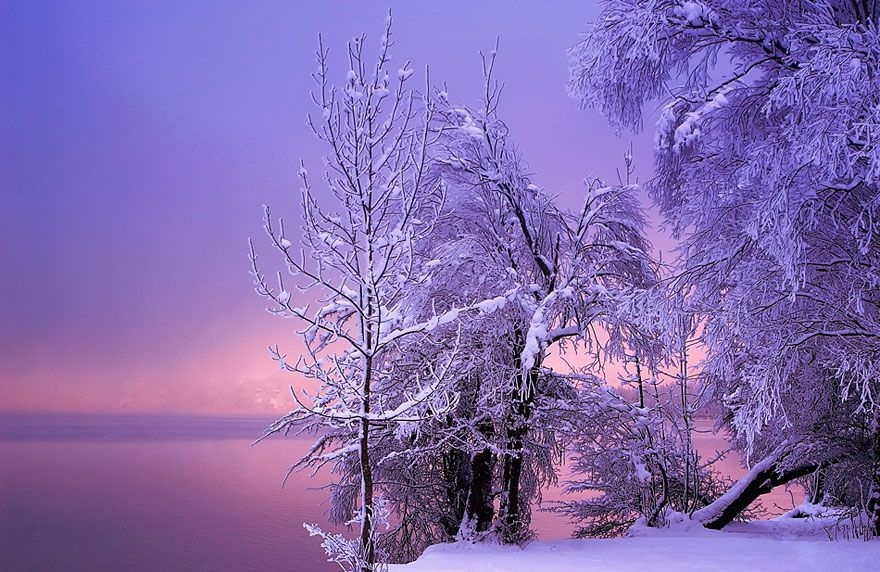 Los paisajes fantásticos en el invierno